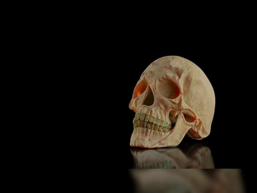 Scientists rebuild face of man whose skull was pierced by iron rod