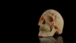 Scientists rebuild face of man whose skull was pierced by iron rod