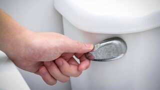 New Zealand mayor confirms no ‘poo ban’ as town tackles severe sewage stench