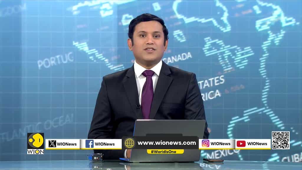 WION Rewind 2023: Trending fashion from the red carpet to everyday style