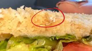 Watch: Woman spots worm in IndiGo flight’s sandwich. Airline issues apology