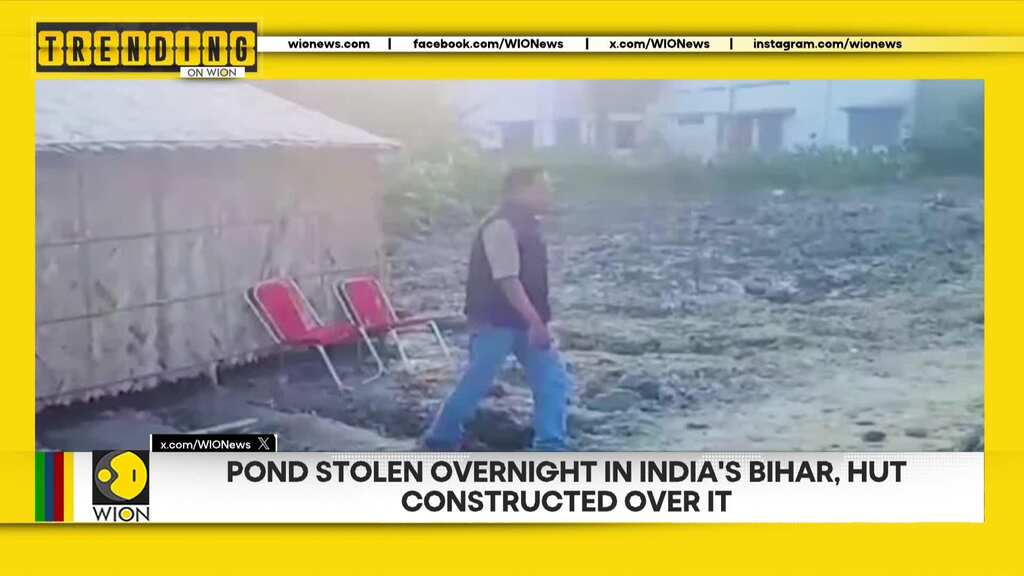 World welcomes 2024 with New Year's fireworks | Pond stolen in India's Bihar