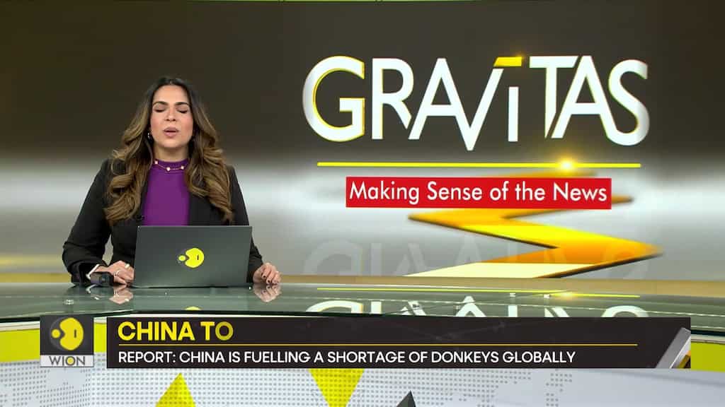 Africa, Brazil to ban donkey exports To China
