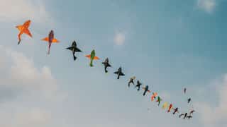 Makar Sankranti 2024: Check date, time, significance of kite flying and different names of the festival
