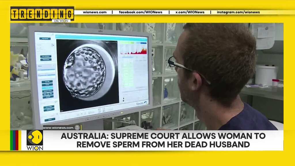 Australia: Supreme Court allows woman to remove sperm from her dead husband