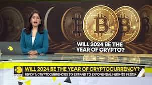 Gravitas | 2024 to be the year of crypto currency?