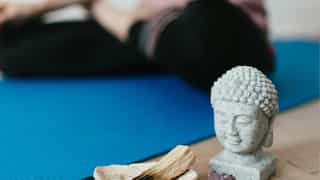 International Mind-Body Wellness Day 2024: Check date, significance, history, and theme of the year