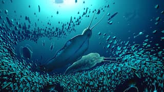Terror Beasts: 500-million-year old 'giant' predator worms unearthed in Greenland 