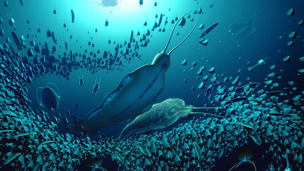 Terror Beasts: 500-million-year old 'giant' predator worms unearthed in Greenland 