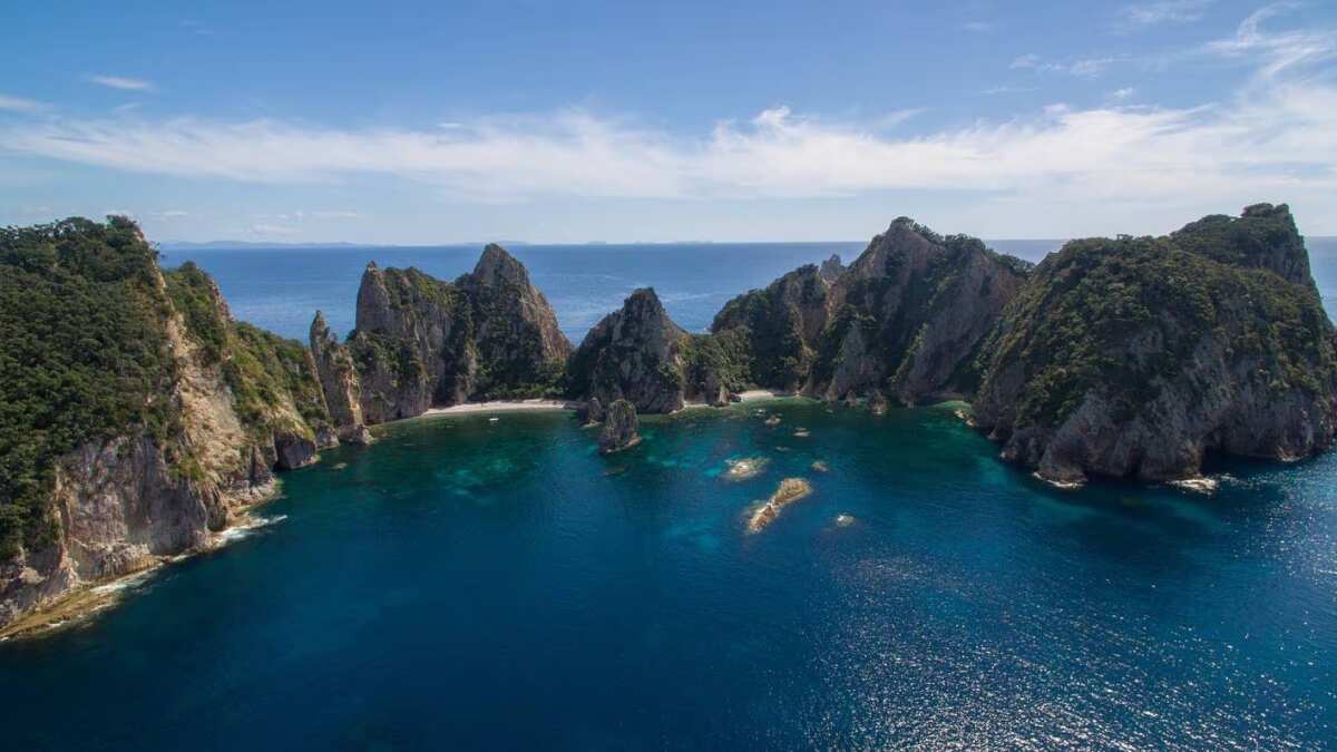 Fisherman's watch leads to 'miracle' rescue after 24 hours in sea