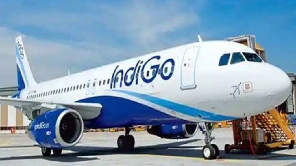 IndiGo flight gets delayed after crew spots overbooked passenger standing at rear end