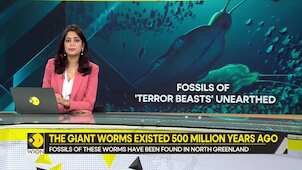 Gravitas | What the fossils of the giant predator worms 'terror beasts' reveal