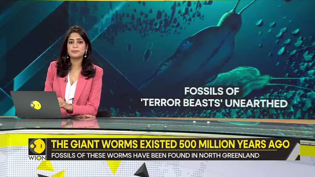 Gravitas | What the fossils of the giant predator worms 'terror beasts' reveal