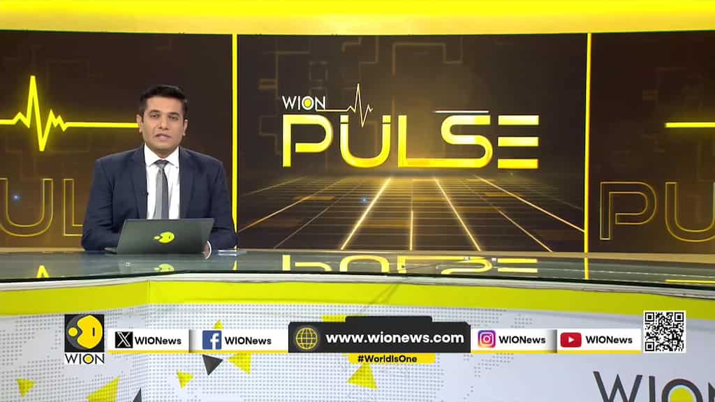 India: Forest officials help elephant calf separated from herd reunite with its mother