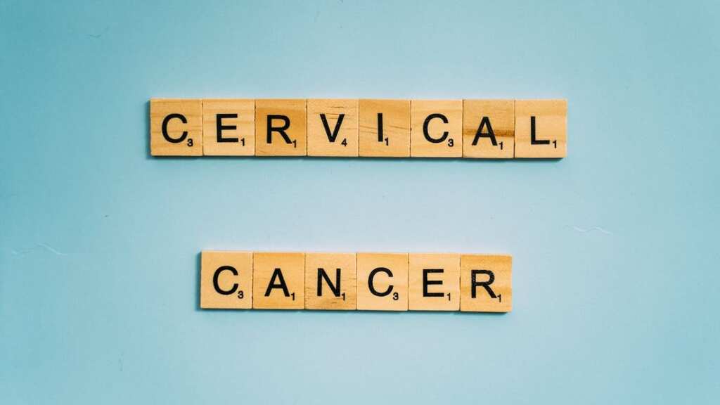 Cervical Health Awareness Month! Understanding HPV vaccination