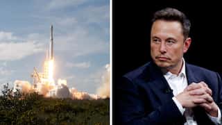 SpaceX files case against US agency over accusation of firing workers critical of Musk