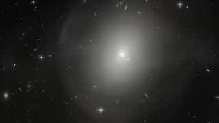Scientists reveal how newborn galaxies went bananas at dawn of time but it’s not all about shape
