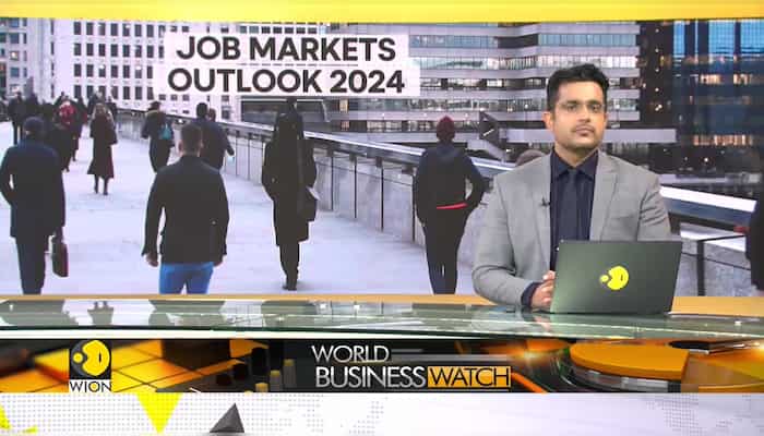 Job market to surge by 8.3% in 2024 | World Business News