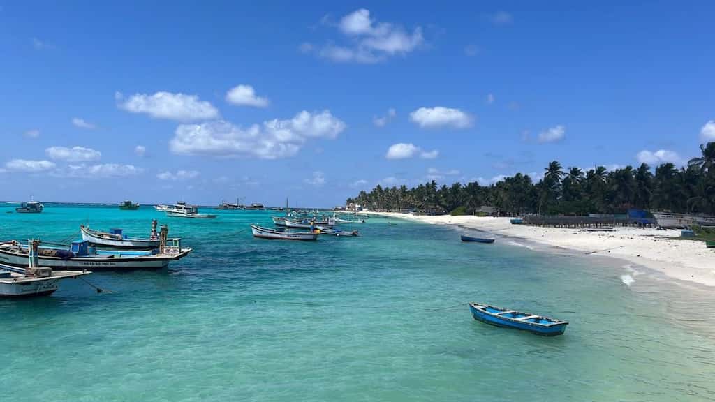Israel to begin desalination programme in Lakshadweep, hails its ‘pristine and majestic’ underwater marvels