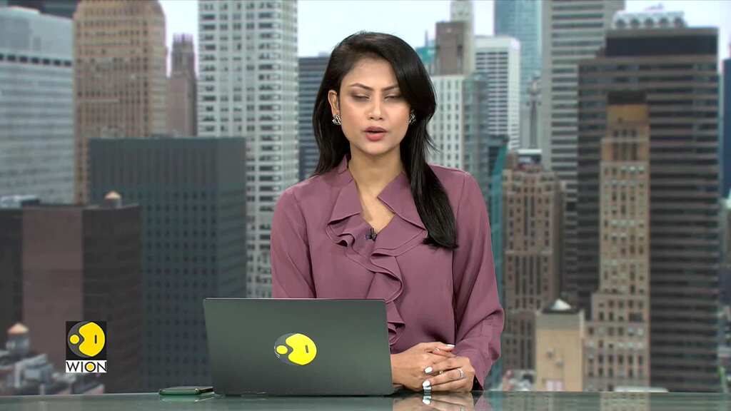 Maldives-India Row: WION speaks to Maldives MP Mickail Naseem