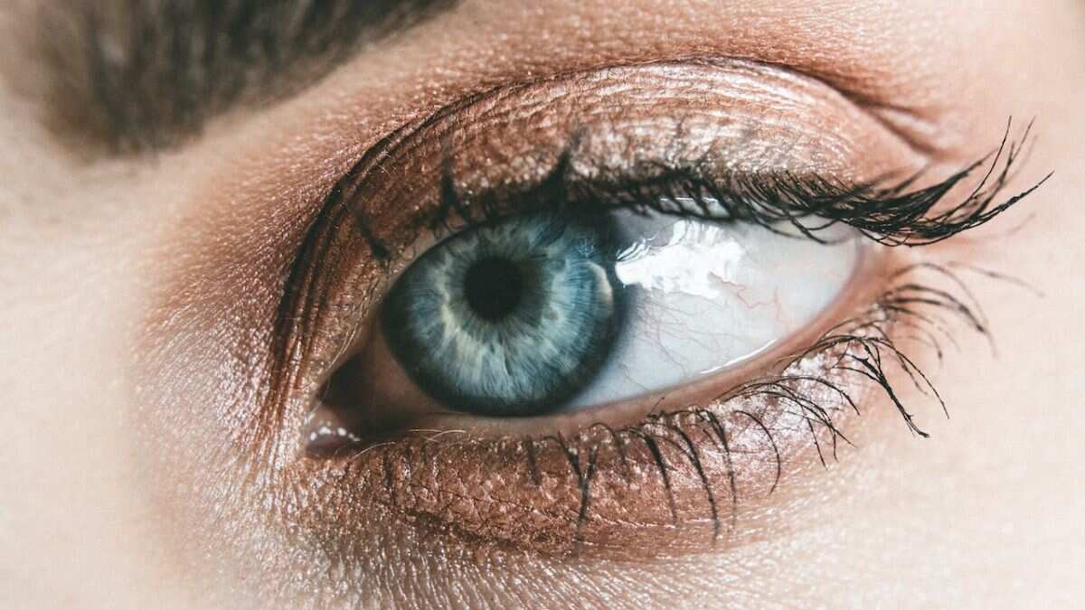 Glaucoma Awareness Month: Cataract vs Glaucoma - What's the difference? Glaucoma Awareness Month: Cataract vs Glaucoma - What's the difference?