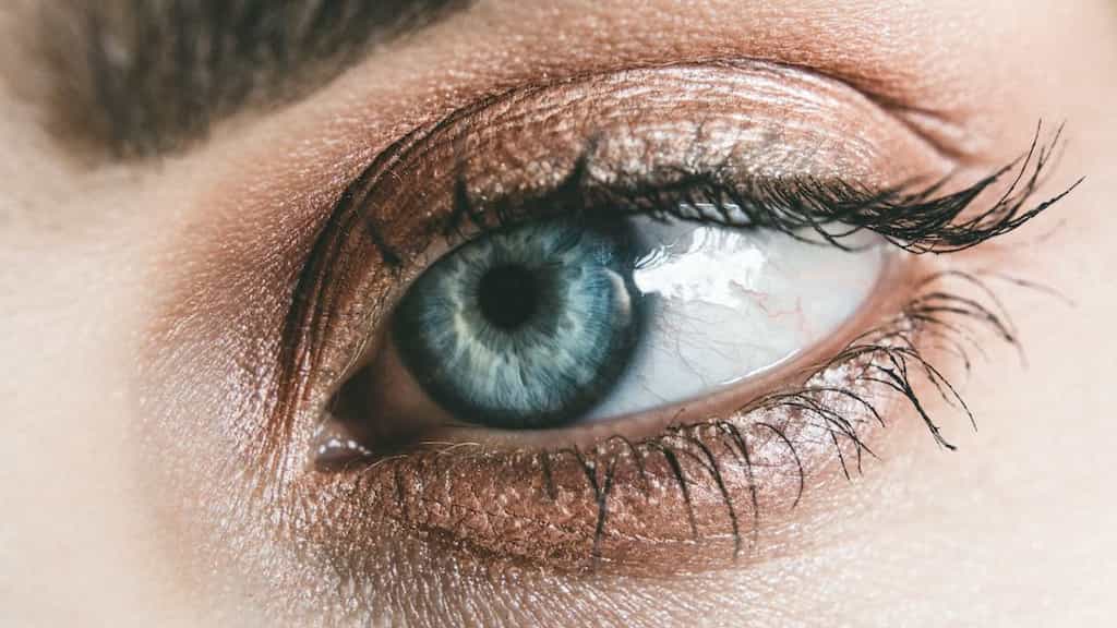 Glaucoma Awareness Month: Cataract vs Glaucoma - What's the difference?