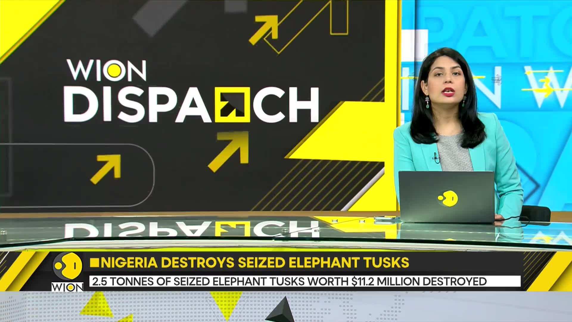 Nigeria: 2.5 tonnes of seized elephant tusks worth $11.2 million