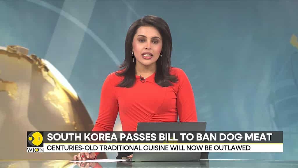 South Korea endorses bill to ban breeding, slaughtering of dogs