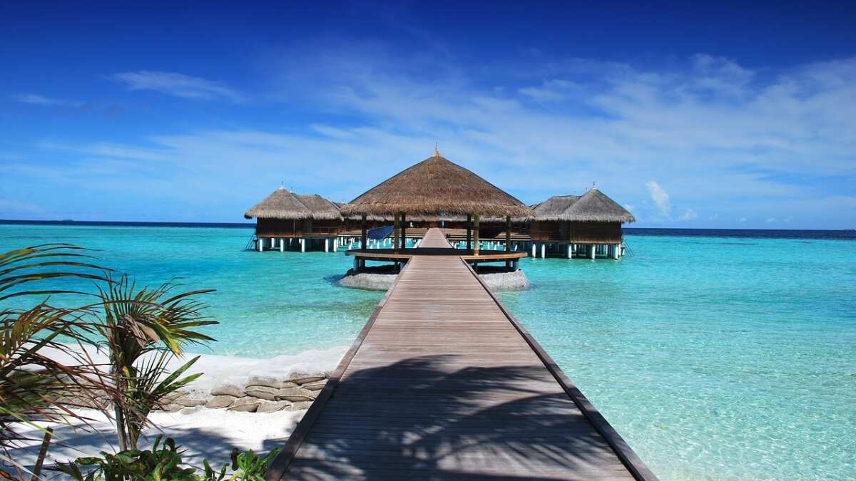 Maldives tourism body says Indian tourists boost their economy, wants them to visit Maldives tourism body says Indian tourists boost their economy, wants them to visit