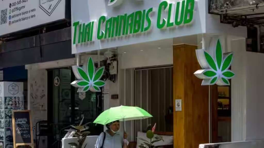 Thailand seeks public opinion as it moves to ban recreational cannabis use, after historic decriminalisation