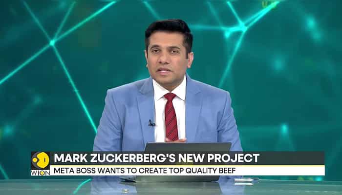 Meta boss Mark Zuckerberg wants to create top quality beef