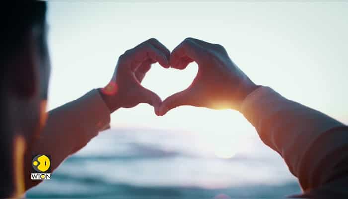 Gravitas | Does falling in love mess with your head?