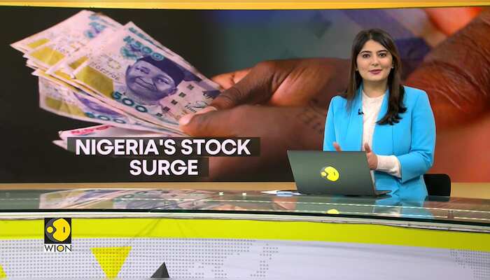 Nigeria's stock market among the best performers in 2024