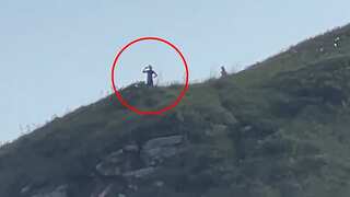 Two giant ‘aliens’ spotted on Brazilian island? Video goes crazy viral on social media