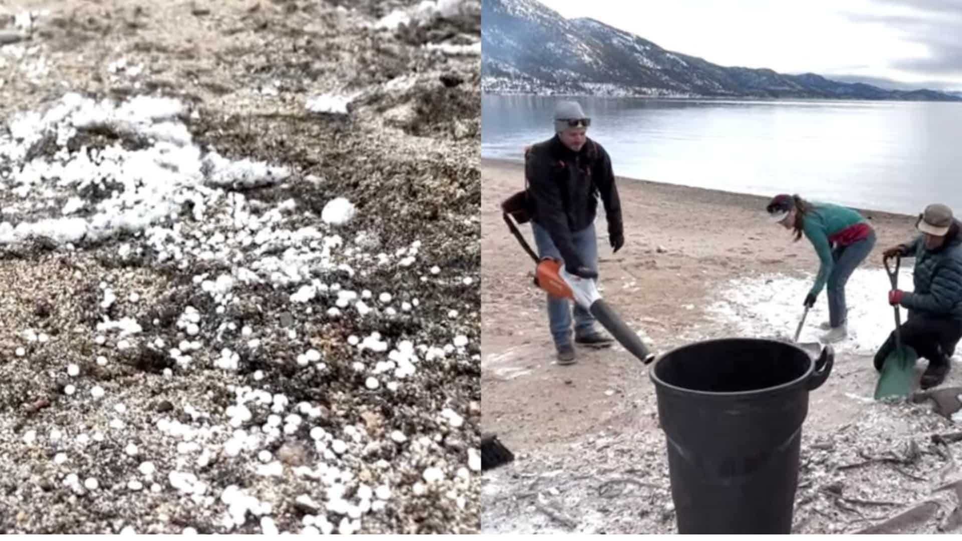 US: Lake Tahoe blanketed in styrofoam, thousands of ‘detrimental’ beads swarm the water body. VIDEO