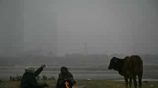 India Weather: Delhi wakes up to a chilly Sunday morning, dense fog engulfs North India; Check full forecast