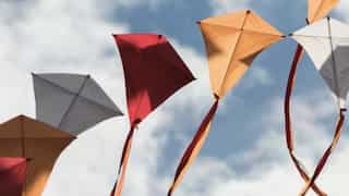 Uttarayan 2024: History, date, tradition & joyous festival of kite flying 