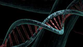 Sex-chromosome syndromes existed even 5,000 years ago, ancient DNA study reveals