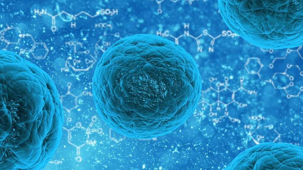 Fungal infection deaths double globally in a decade: Study