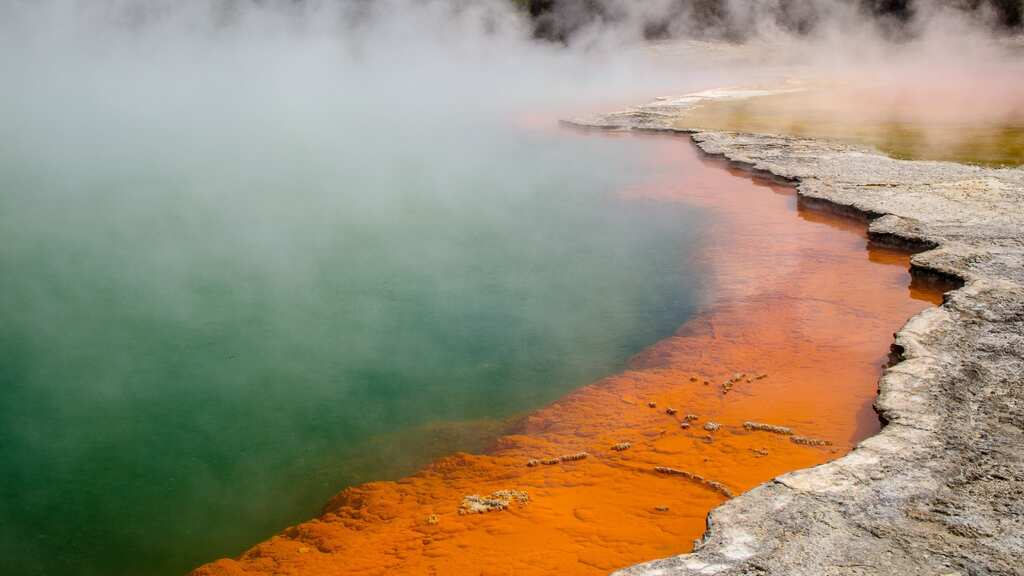 Hot springs served as catalyst for life on Earth billions of years ago, study finds