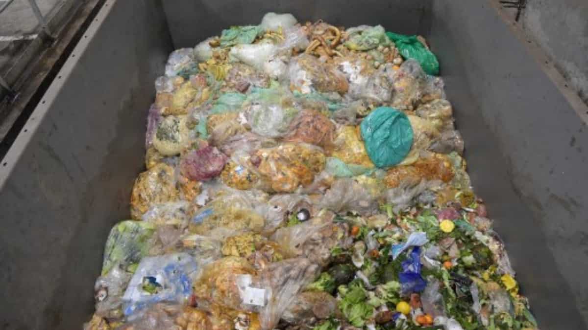 Saudi Arabia accounts for half of annual global food waste: Report Saudi Arabia accounts for half of annual global food waste: Report