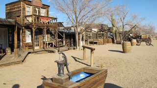 Many US cities could empty out by 2100, become ‘ghost cities’ due to population drop: Study