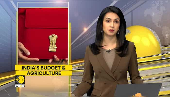 Explained: Why Budget needs a focus on Agri sector