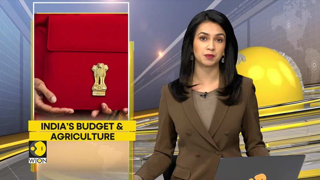 Explained: Why Budget needs a focus on Agri sector