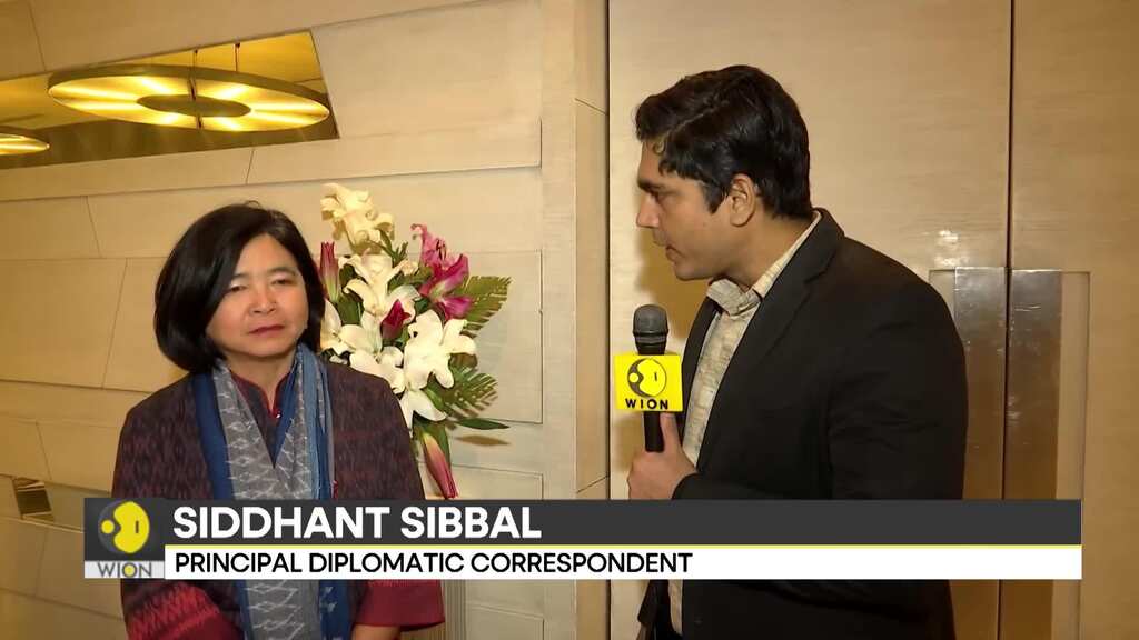 Thailand Ambassador to India Hongtong talks to WION about cultural connect between India & Thailand