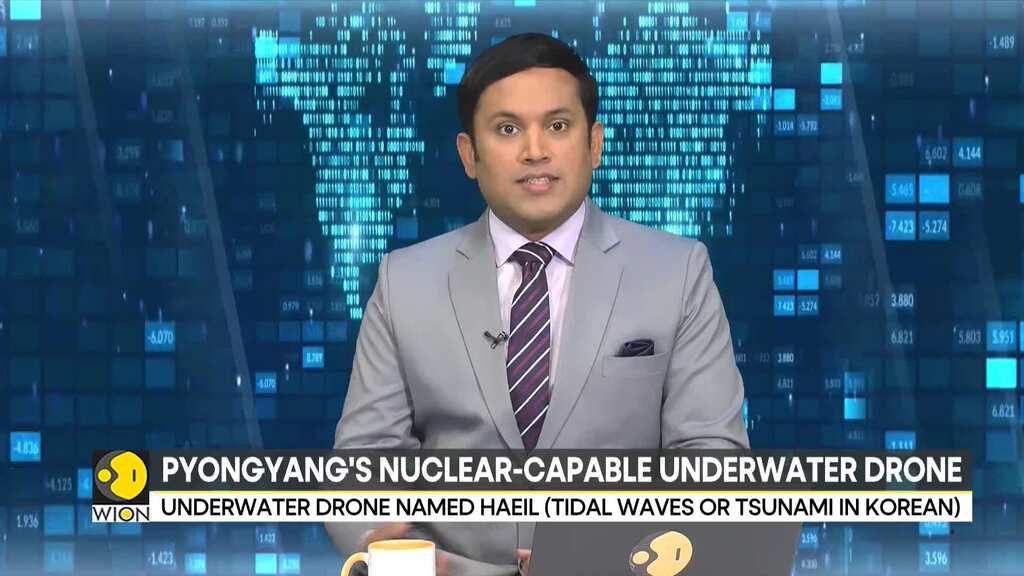 North Korea lauds Pyongyang's ‘underwater nuclear weapon system’