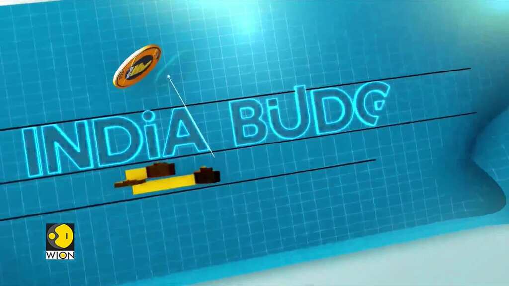 India Budget 2024: Experts advocate boosting healthcare allocation to 2.5% of GDP