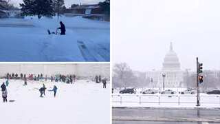 US winter storm: More than 60 killed, millions affected by 'bone-chilling cold' amid Arctic blast