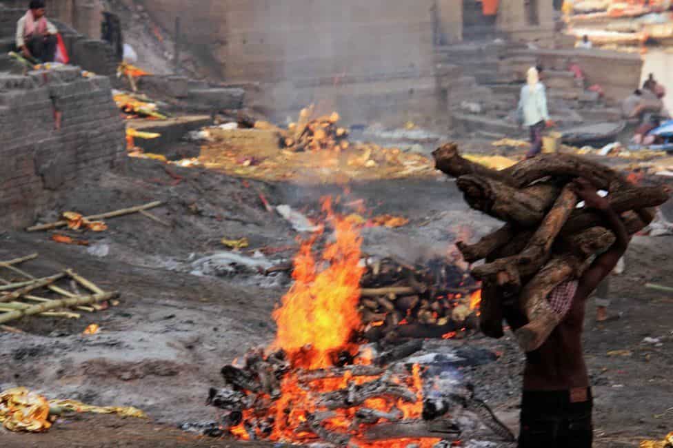 Ram Temple consecration: History and significance of Kashi Dom Raja and Yajmans