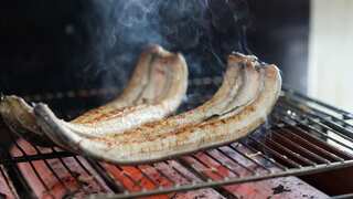 Israeli firm creates lab-grown freshwater eel meat, offering hope for species on verge of extinction